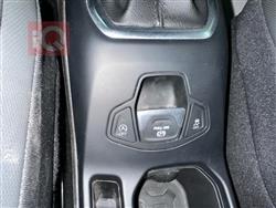 جيب رينيجيد